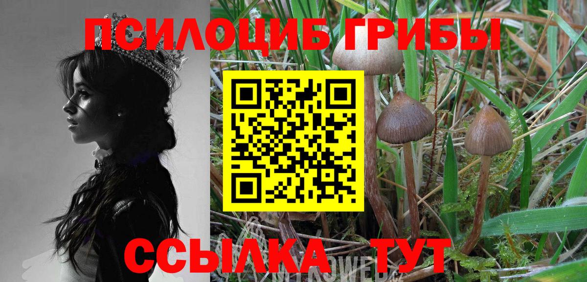 цена   Псилоцибиновые грибы прущие грибы  Галлюциногенные грибы мухоморы  Вход с VPN  Отрадное 