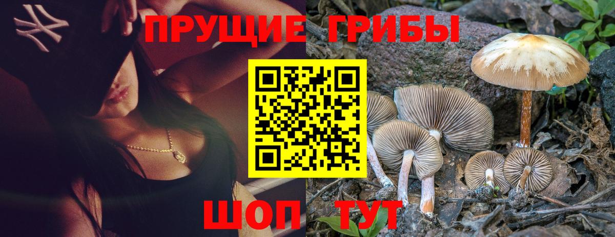 Псилоцибиновые грибы MAGIC MUSHROOMS Отрадное